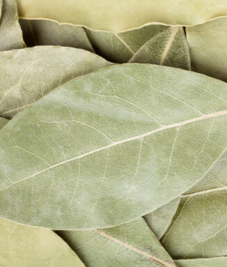 Fragrance Spices, Natural and Organic Spices, Spice Mixes and Aromatic Herbs, UAE